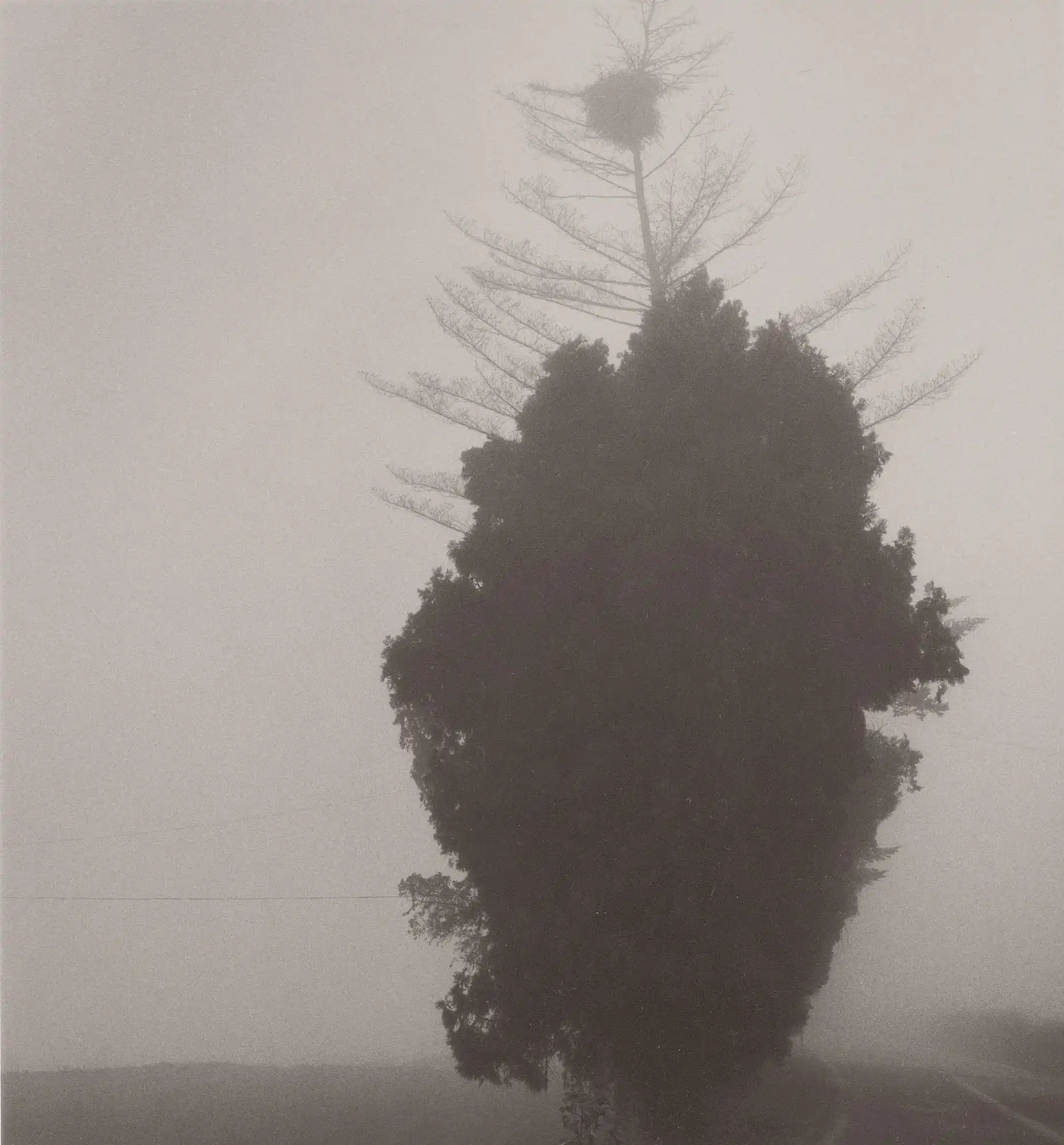 Deep Fog, DF 005 BHM - Min, Byung Hun